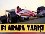 F1 Araba Yarışı 