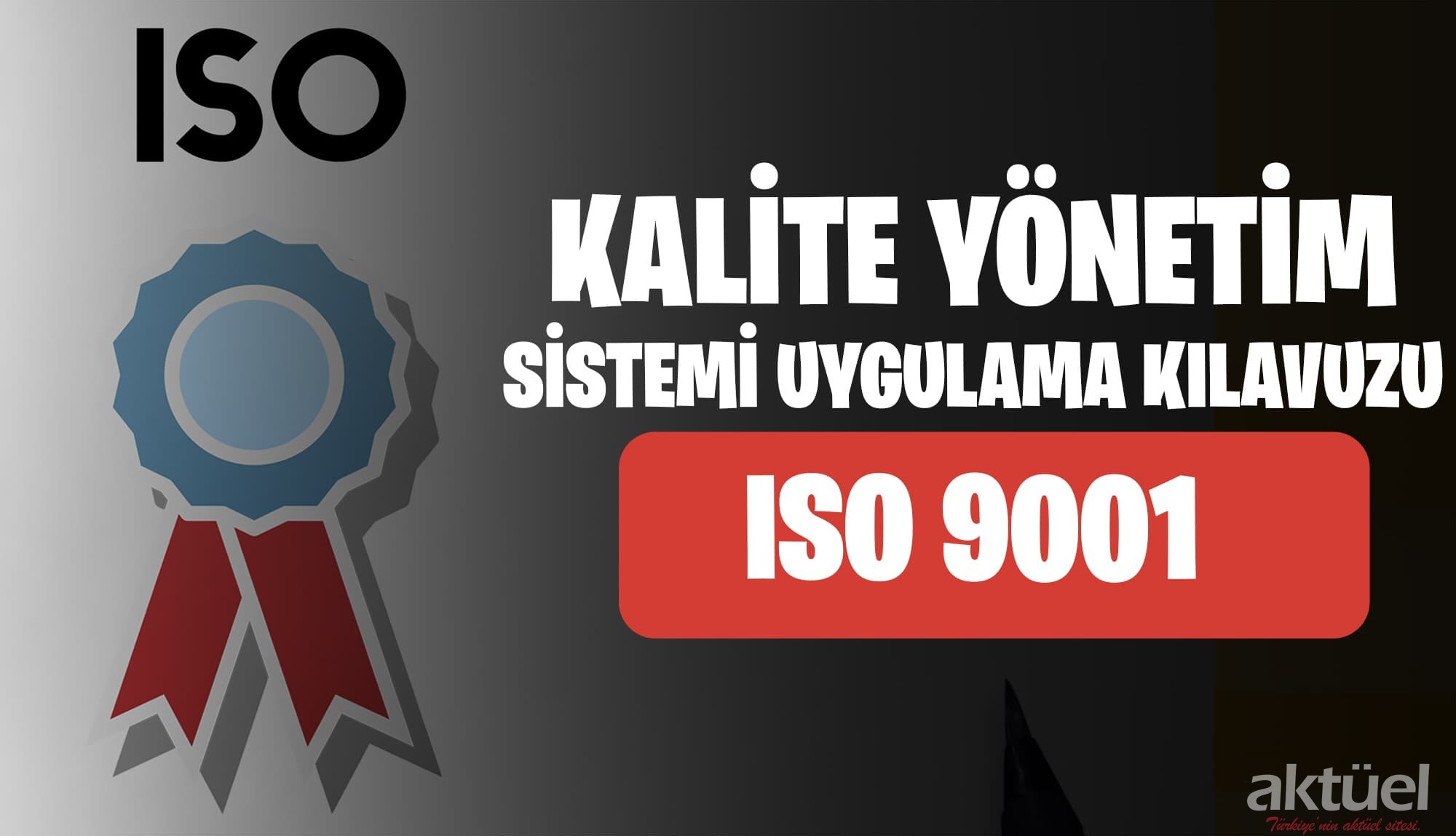 ISO 9001 Kalite Yönetim Sistemi Uygulama Kılavuzu