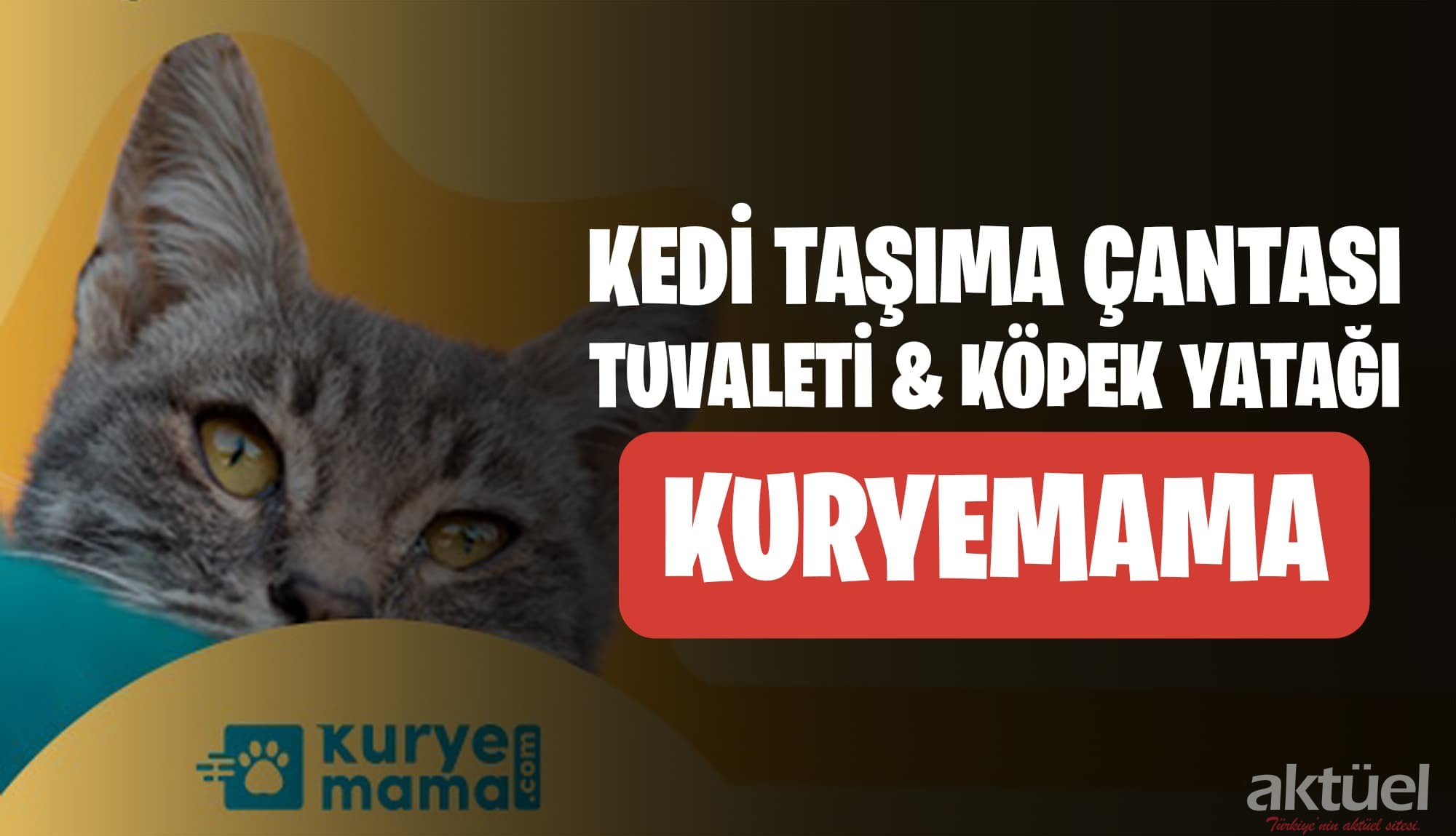 Kedi Taşıma Çantası, Tuvaleti Veya Köpek Yatağı Arıyorsanız Kuryemama.Com Ziyaret Edin!.