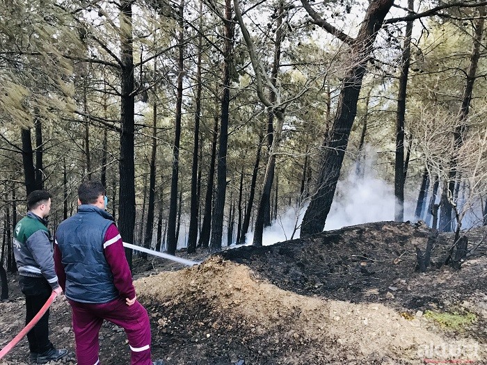 18 Saatlik Çalışma Sonuç Verdi | Çanakkale'deki Orman Yangını Kontrol Altına Alındı