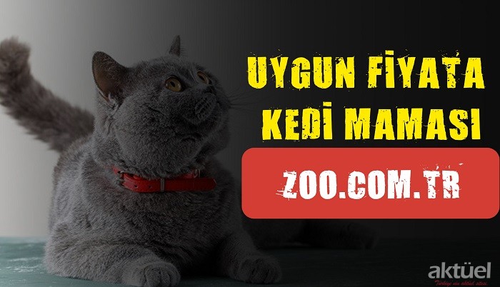 Kedi Maması Uygun Fiyatlarla Zoo.com.tr ‘de!